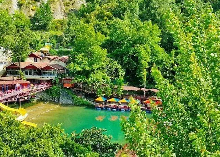 호텔 Risus Park 알란야