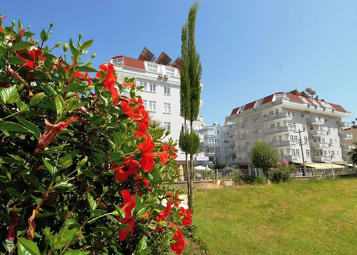 Risus Park 3*