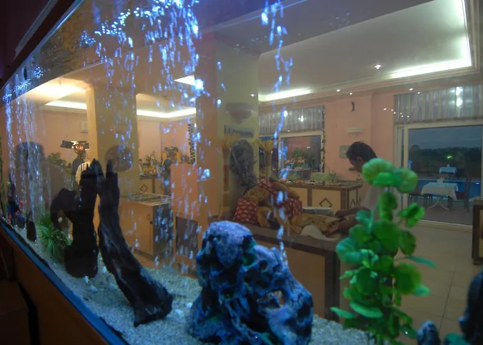 Risus Park 3* 알란야