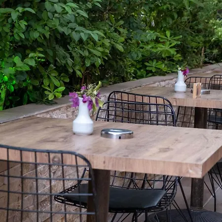 Risus Park 3* Αλάνια